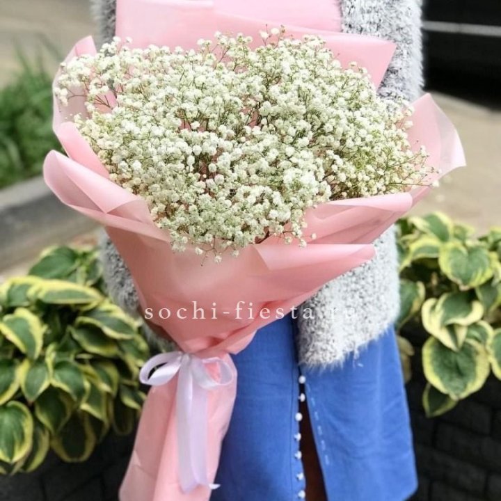 Белоснежные гипсофилы в Алматы